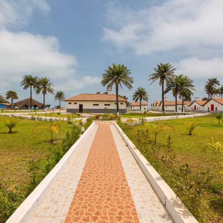 A beautiful pavement and the houses surrounded by grassy fields captured in Gambia, Africa