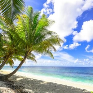 pexels-asadphoto-1449767