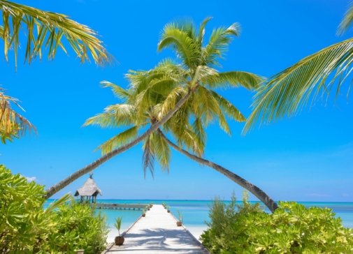 pexels-asadphoto-1591375