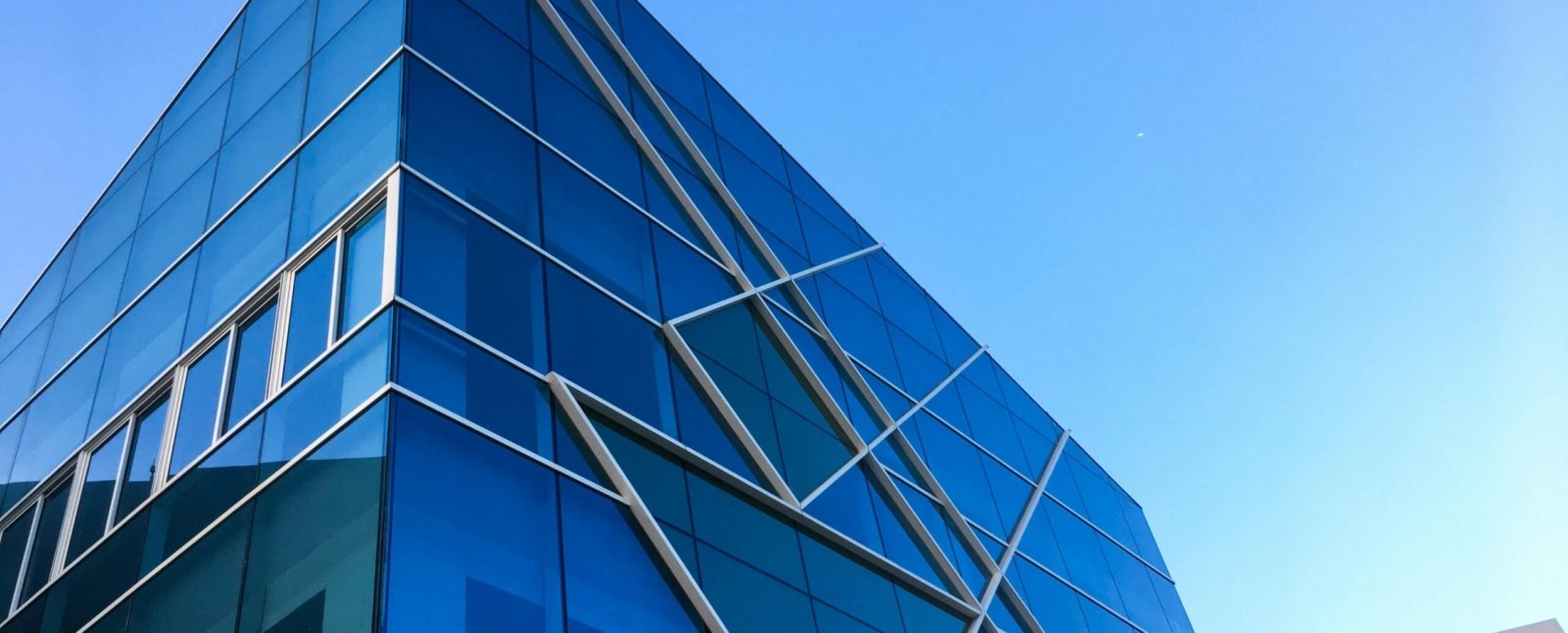 pexels-ga-huy-135599-410696