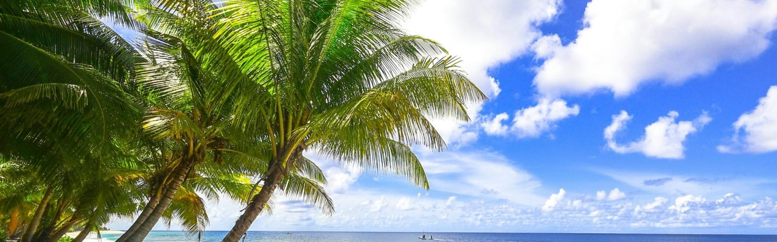 pexels-asadphoto-1449767